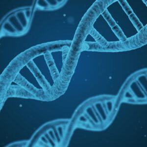 Thetahealing® Basic DNA – PRÄSENZ-SEMINAR