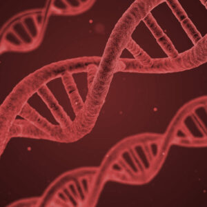 Thetahealing® DIGGING – PRÄSENZ-SEMINAR