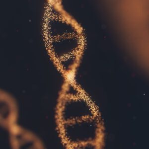 Thetahealing® Einzelsitzung, 60 Min.