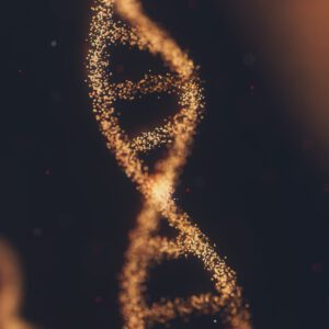 Thetahealing® DU UND DER SCHÖPFER – PRÄSENZ-SEMINAR